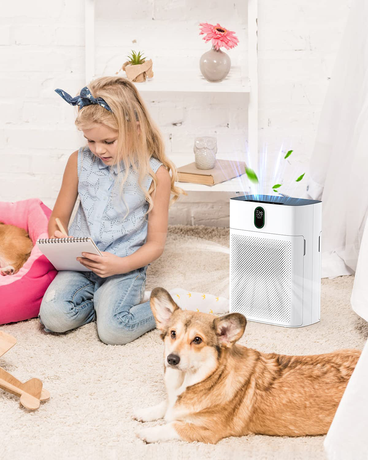 Air Filter H13 Ture HEPA Filter Suitable HY4866 Air Purifier for Dust, Pet Dander, Pollen for Bedroom and Office, Standard Version, 2 Pack